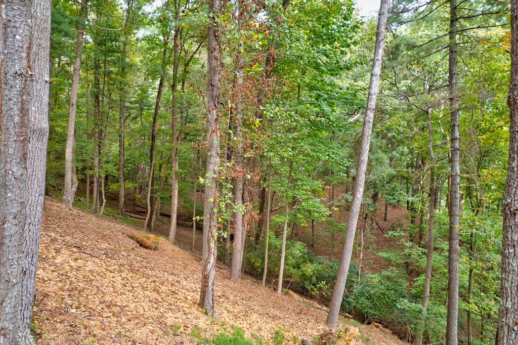 99&102R Ponca Court, Ellijay GA 30540 - Photo