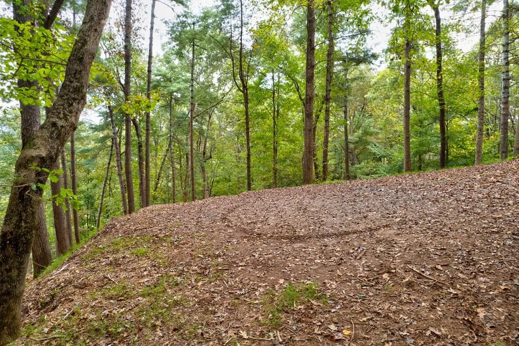 99&102R Ponca Court, Ellijay GA 30540 - Photo