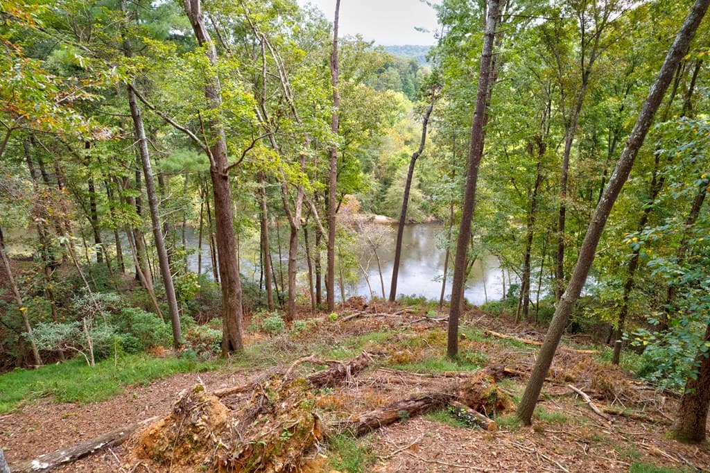 99&102R Ponca Court, Ellijay GA 30540 - Photo