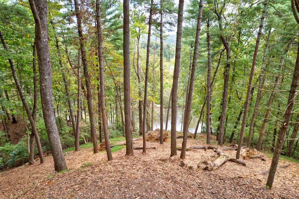 99&102R Ponca Court, Ellijay GA 30540 - Photo