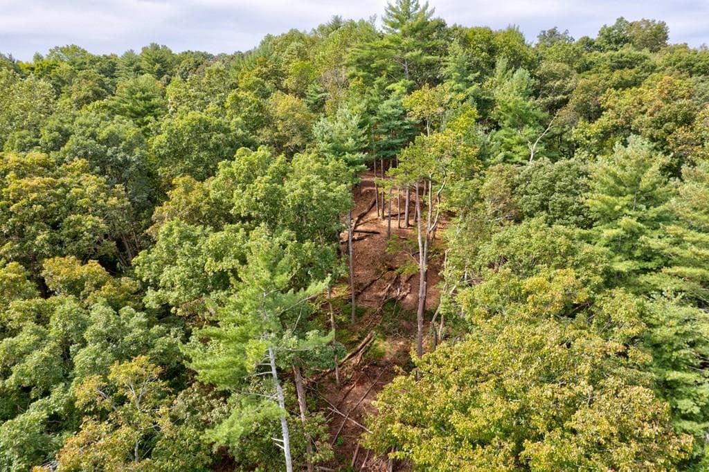 99&102R Ponca Court, Ellijay GA 30540 - Photo