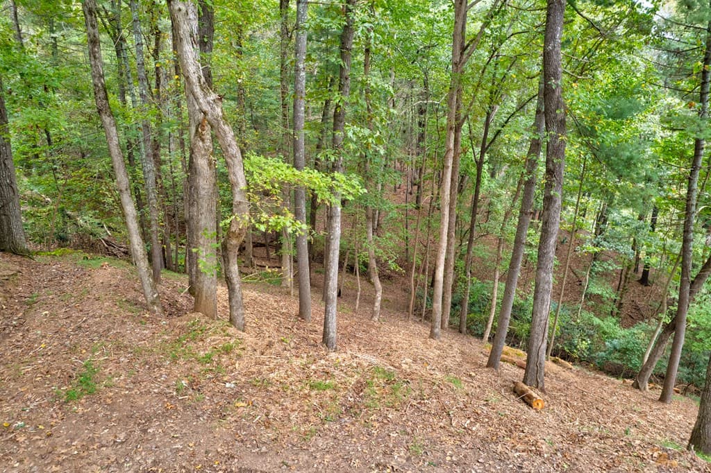99&102R Ponca Court, Ellijay GA 30540 - Photo
