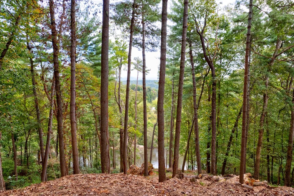 99&102R Ponca Court, Ellijay GA 30540 - Photo