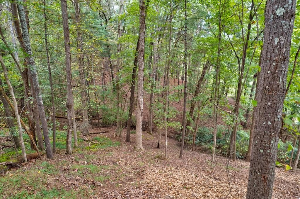 99&102R Ponca Court, Ellijay GA 30540 - Photo
