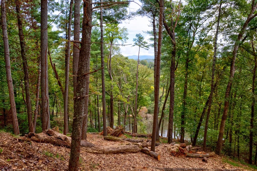 99&102R Ponca Court, Ellijay GA 30540 - Photo