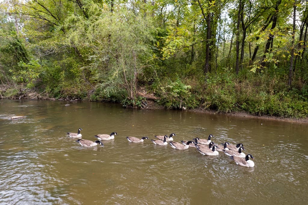 99&102R Ponca Court, Ellijay GA 30540 - Photo