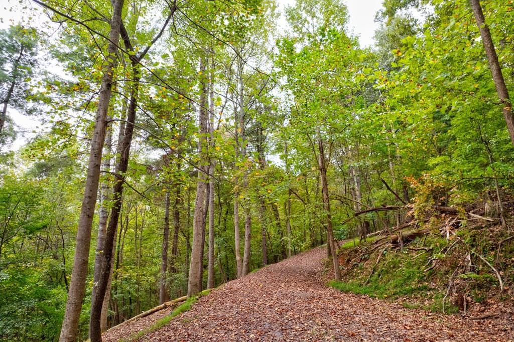 99&102R Ponca Court, Ellijay GA 30540 - Photo