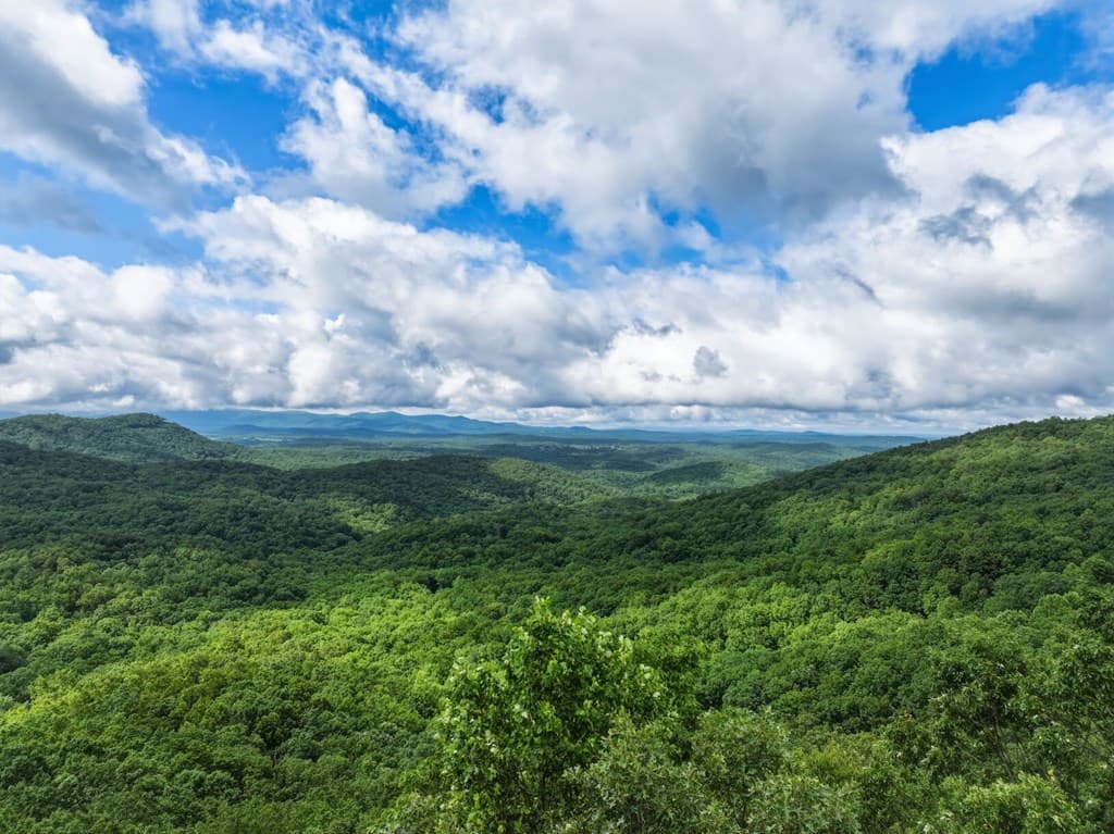 1220 Walnut Ridge, Ellijay GA 30536 - Photo
