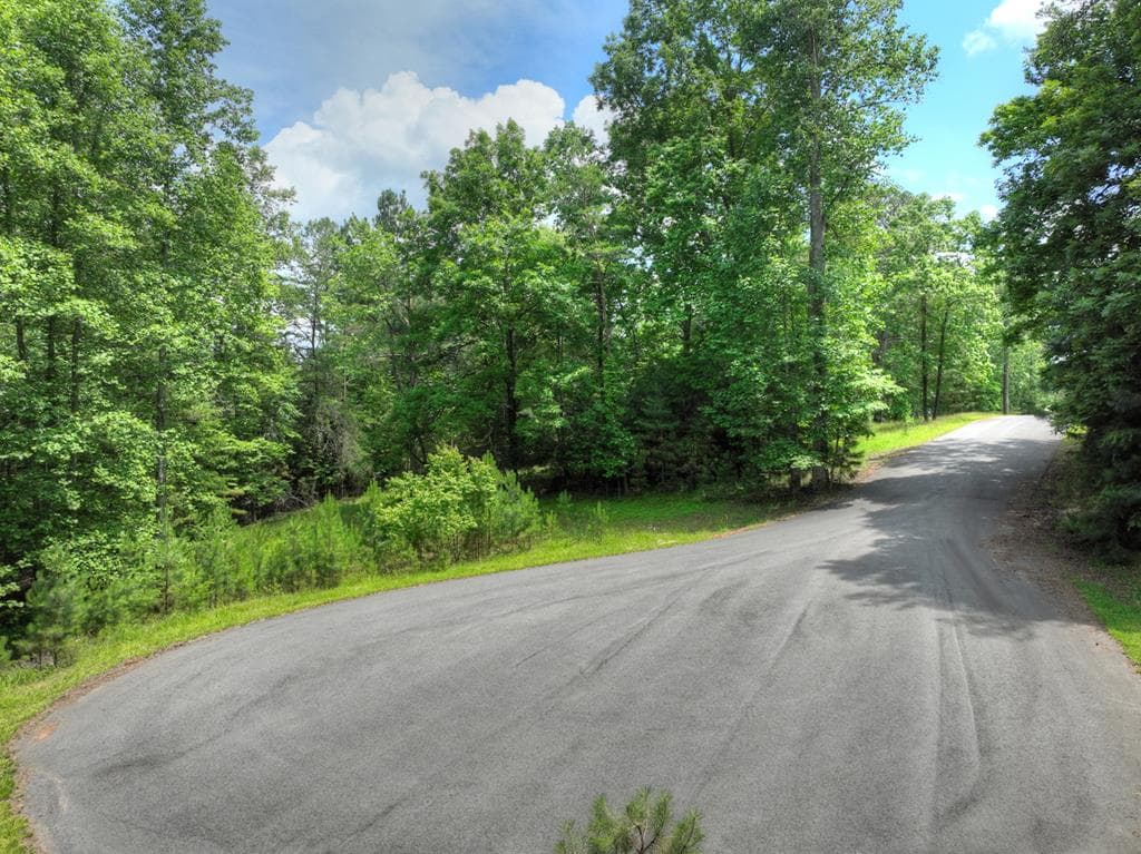 LOT 132 Fox Cove Road, Blairsville GA 30512 - Photo