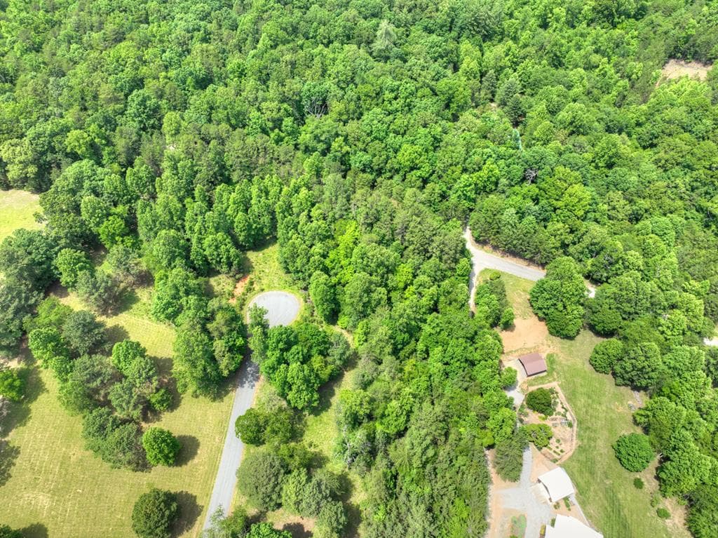 LOT 132 Fox Cove Road, Blairsville GA 30512 - Photo