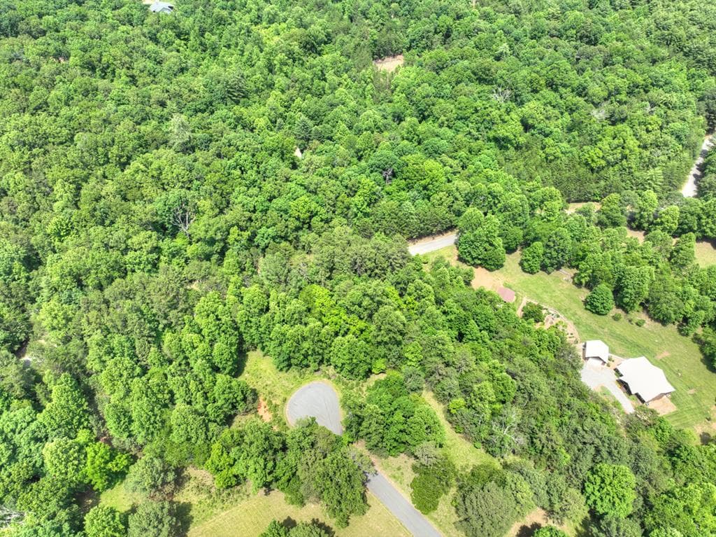 LOT 132 Fox Cove Road, Blairsville GA 30512 - Photo