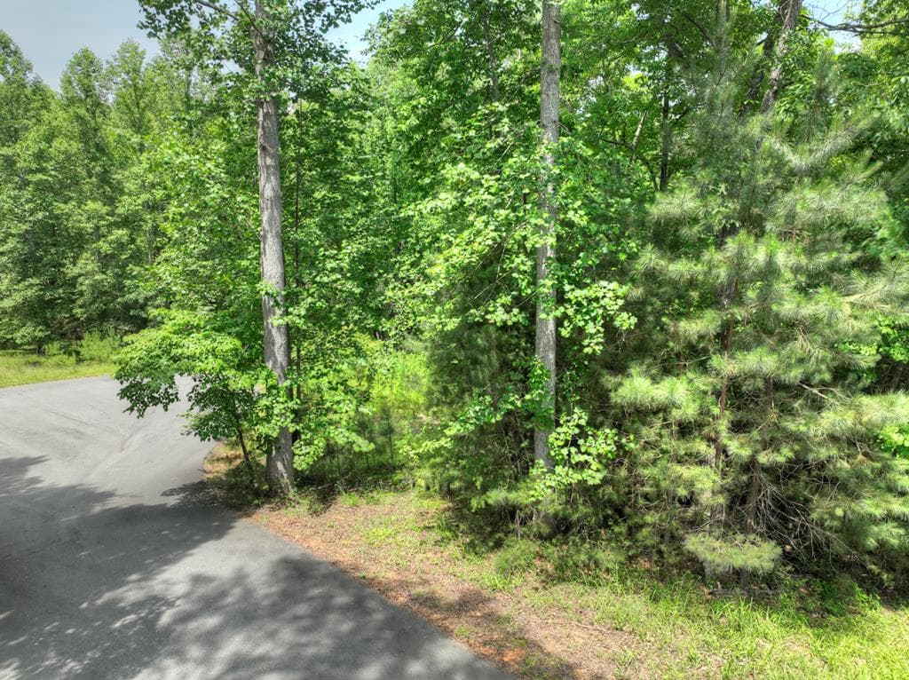 LOT 132 Fox Cove Road, Blairsville GA 30512 - Photo