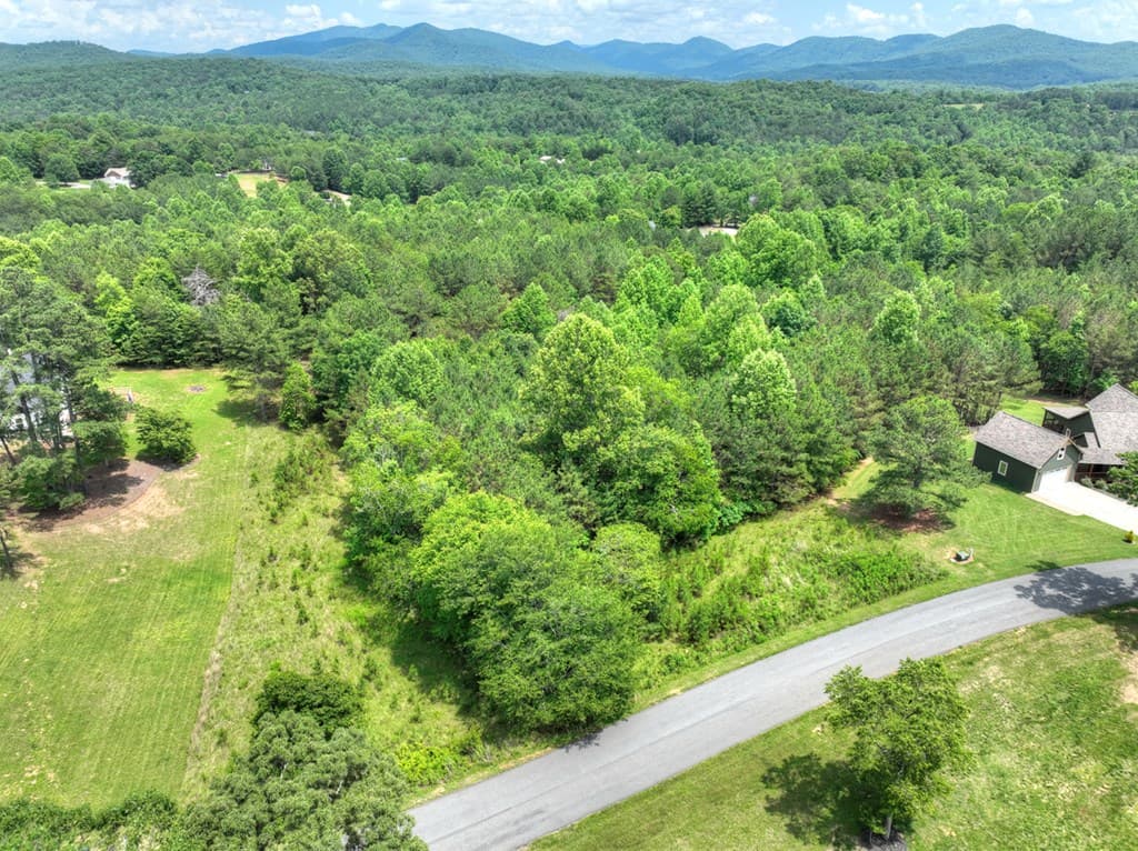 LOT 132 Fox Cove Road, Blairsville GA 30512 - Photo