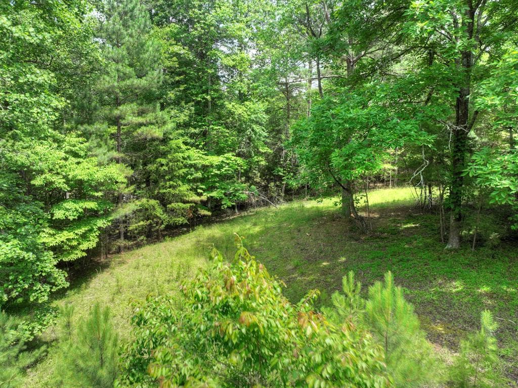 LOT 132 Fox Cove Road, Blairsville GA 30512 - Primary photo