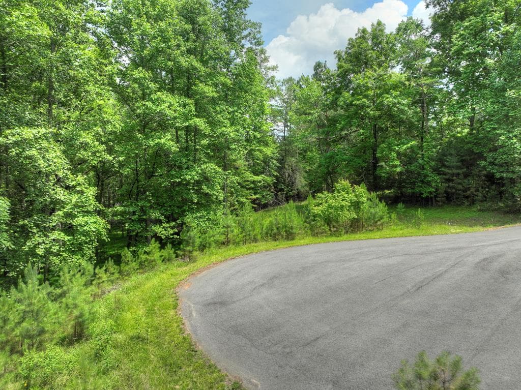 LOT 132 Fox Cove Road, Blairsville GA 30512 - Photo