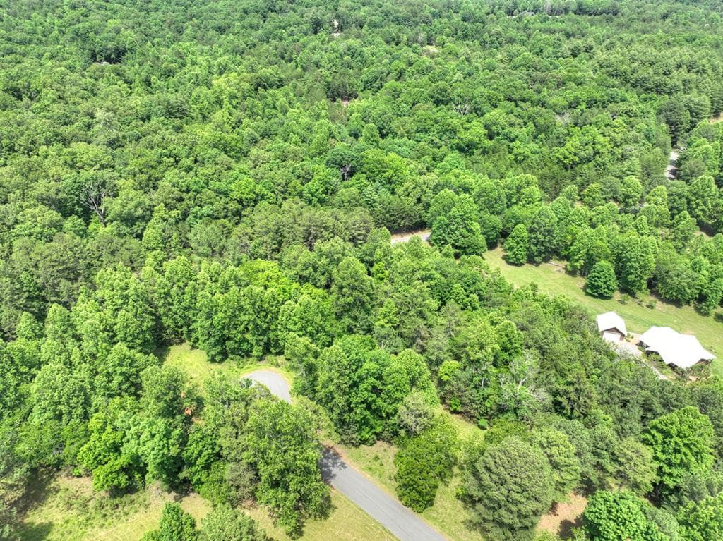 LOT 132 Fox Cove Road, Blairsville GA 30512 - Photo