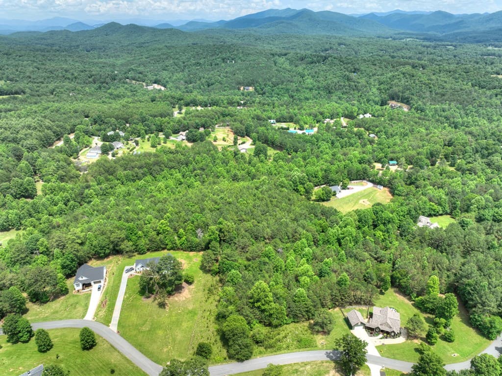 LOT 132 Fox Cove Road, Blairsville GA 30512 - Photo