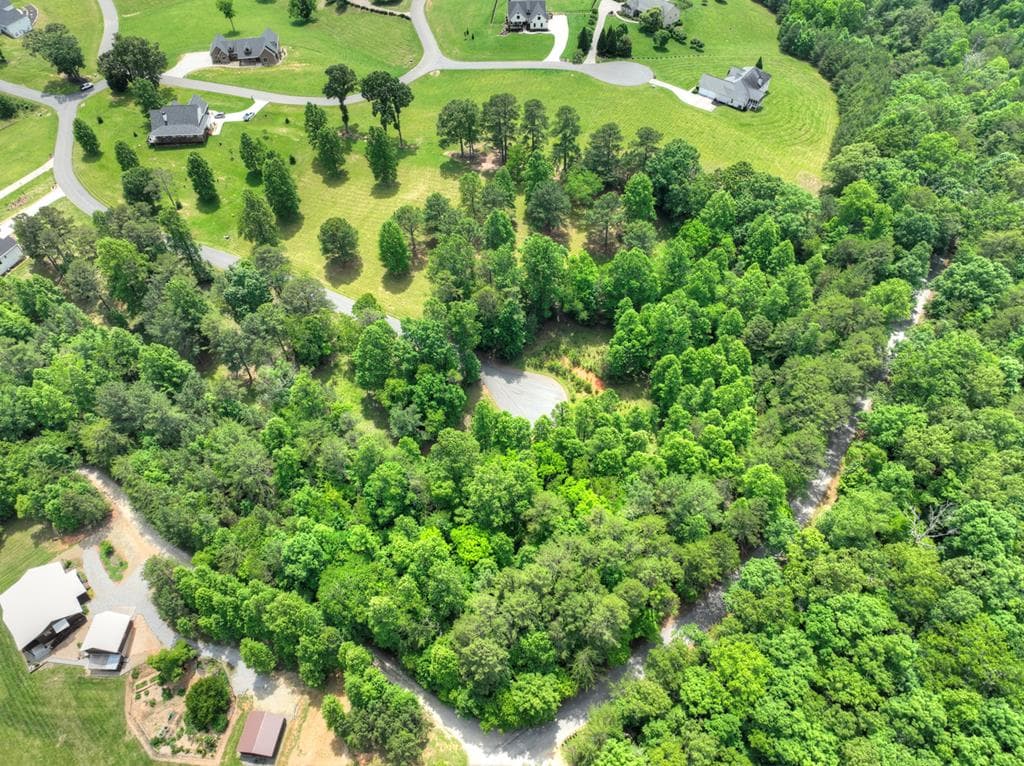 LOT 132 Fox Cove Road, Blairsville GA 30512 - Photo