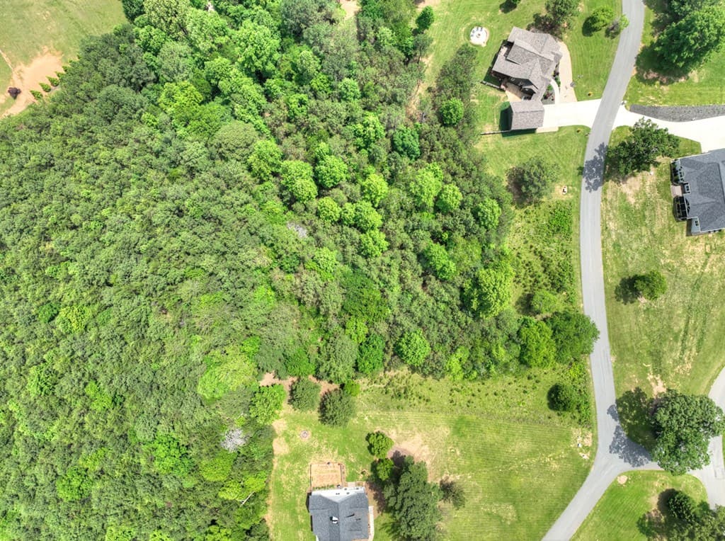 LOT 132 Fox Cove Road, Blairsville GA 30512 - Photo