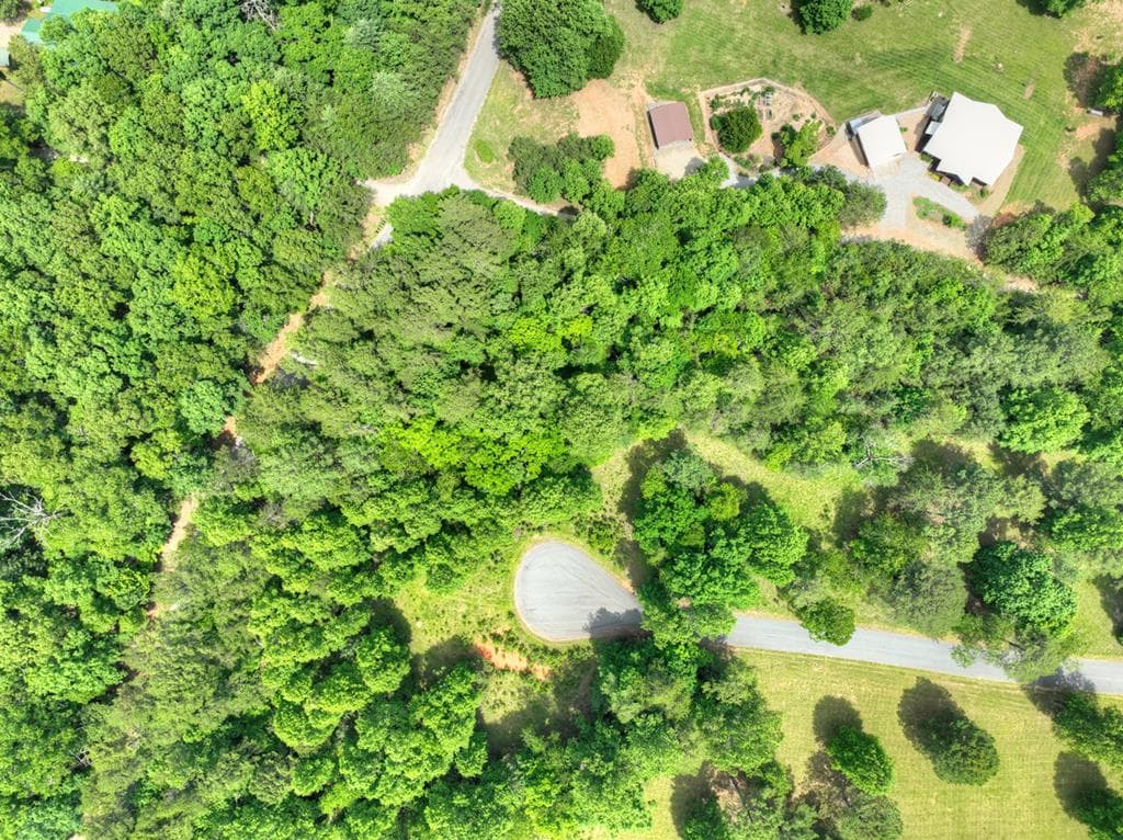 LOT 132 Fox Cove Road, Blairsville GA 30512 - Photo