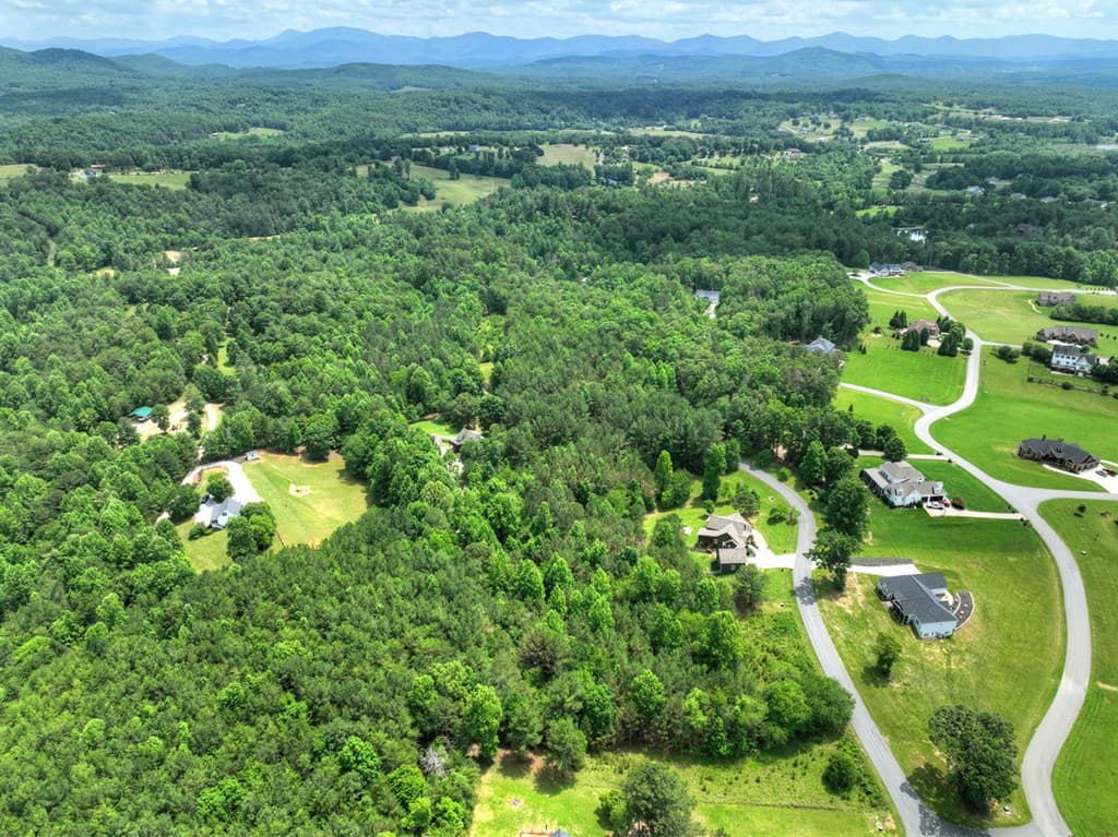 LOT 132 Fox Cove Road, Blairsville GA 30512 - Photo