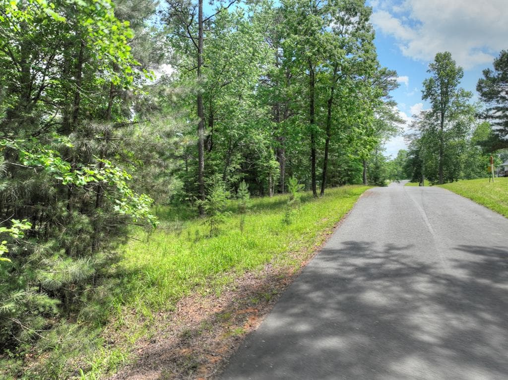 LOT 132 Fox Cove Road, Blairsville GA 30512 - Photo