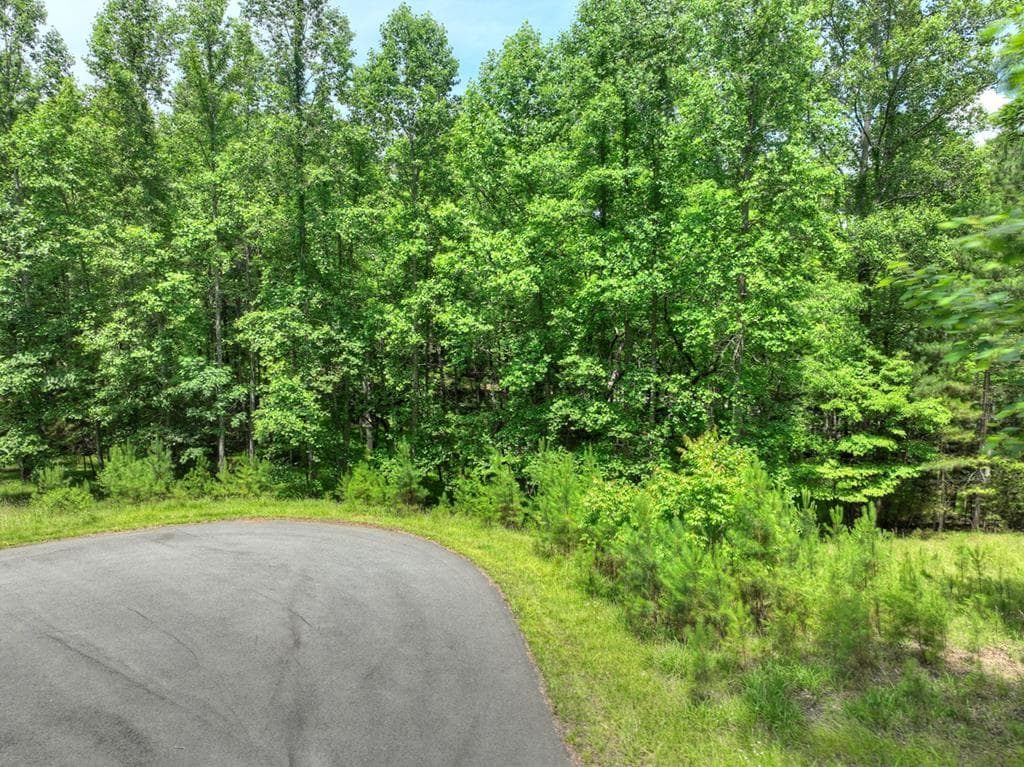 LOT 132 Fox Cove Road, Blairsville GA 30512 - Photo
