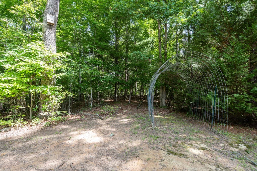 44 Red Wolf Trail, Blairsville GA 30512 - Photo