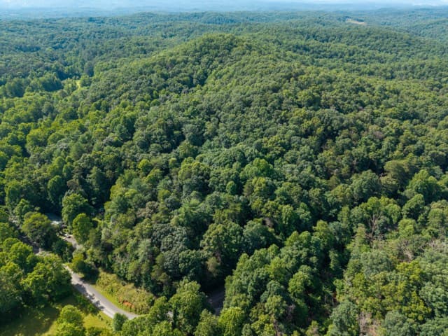 5198 Flat Branch Road, Ellijay GA 30540 - Photo