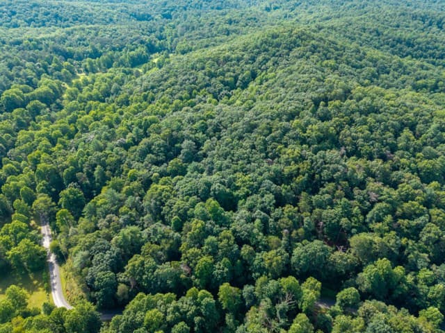 5198 Flat Branch Road, Ellijay GA 30540 - Photo