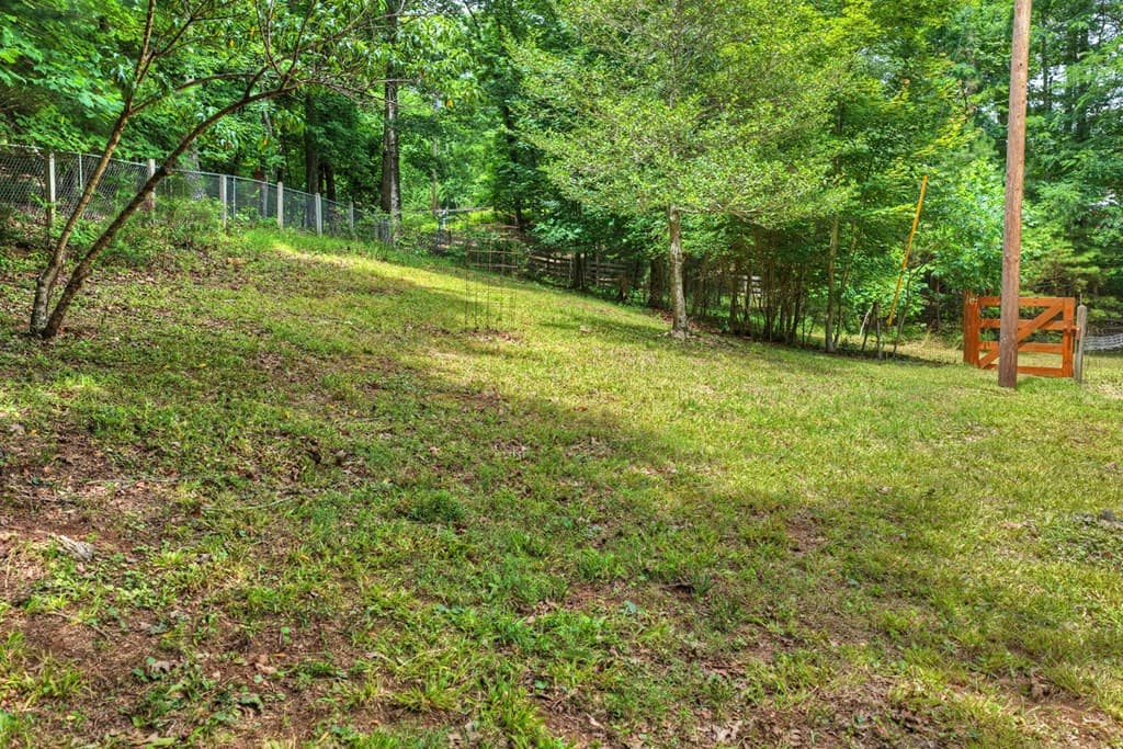 98 Bear Lane, Blue Ridge GA 30513 - Photo