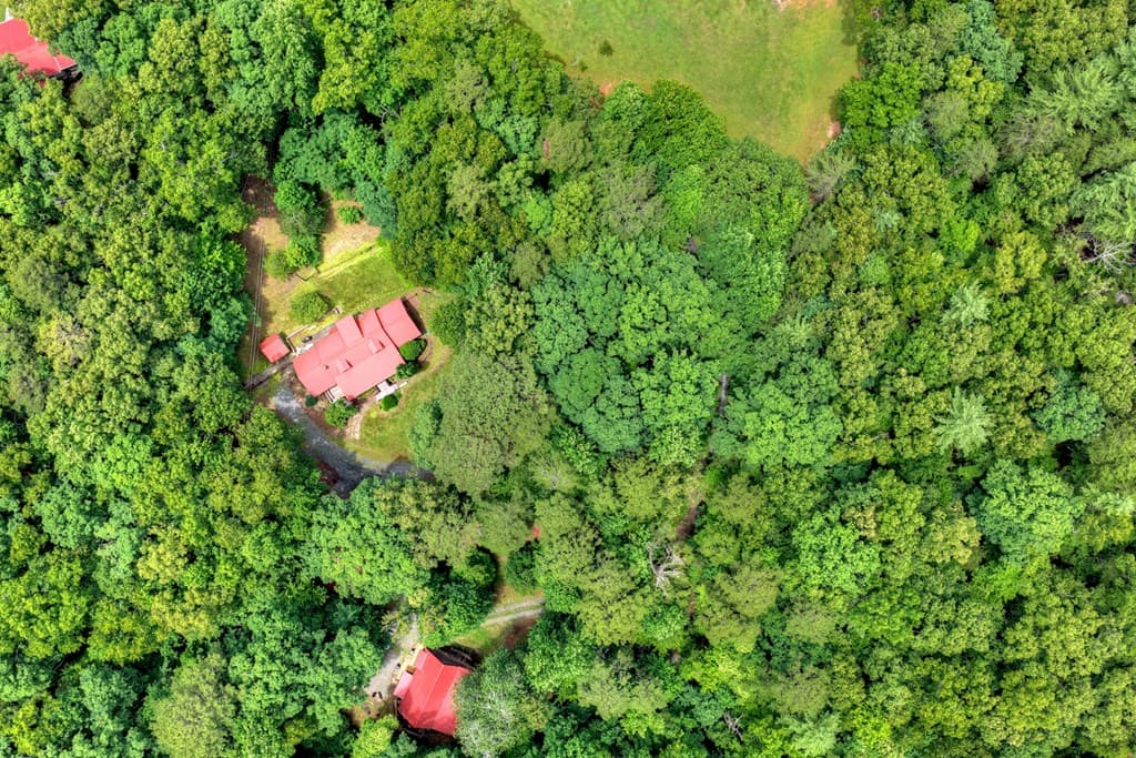 98 Bear Lane, Blue Ridge GA 30513 - Photo