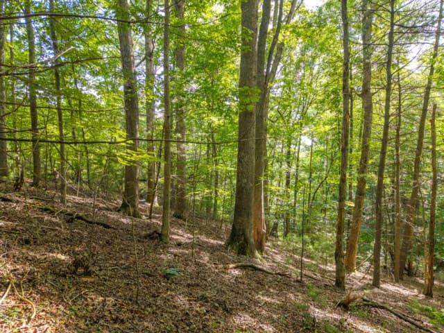 5198 Flat Branch Road, Ellijay GA 30540 - Photo