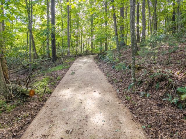 5198 Flat Branch Road, Ellijay GA 30540 - Primary photo