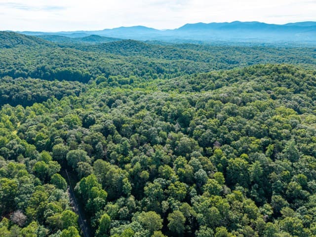 5198 Flat Branch Road, Ellijay GA 30540 - Photo
