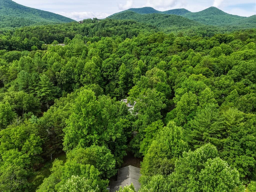 767 Ashley Circle, Blairsville GA 30512 - Photo