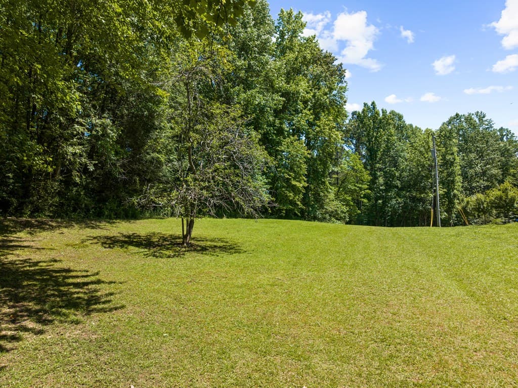 51 Haddock Drive, Blue Ridge GA 30513 - Photo