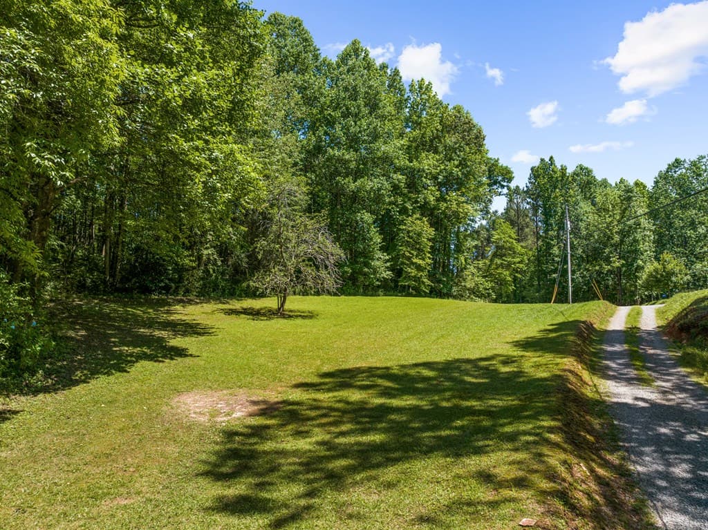 51 Haddock Drive, Blue Ridge GA 30513 - Photo