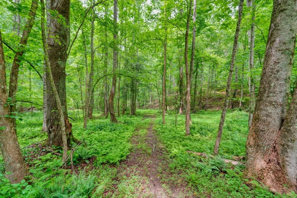 341 Blackberry Trail, Ball Ground GA 30107 - Photo