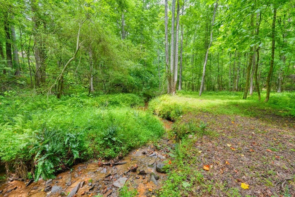 341 Blackberry Trail, Ball Ground GA 30107 - Photo