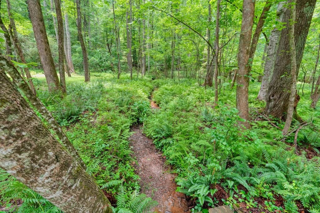 341 Blackberry Trail, Ball Ground GA 30107 - Photo