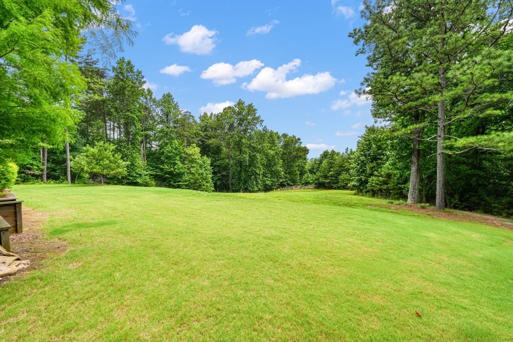 341 Blackberry Trail, Ball Ground GA 30107 - Photo