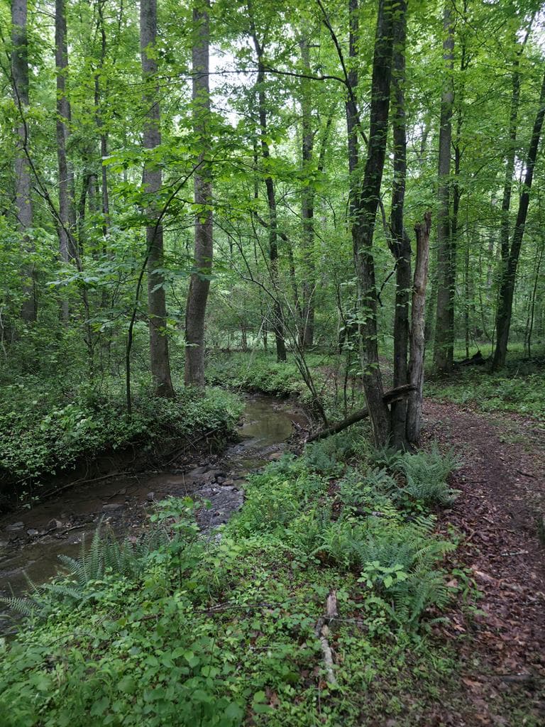 341 Blackberry Trail, Ball Ground GA 30107 - Photo