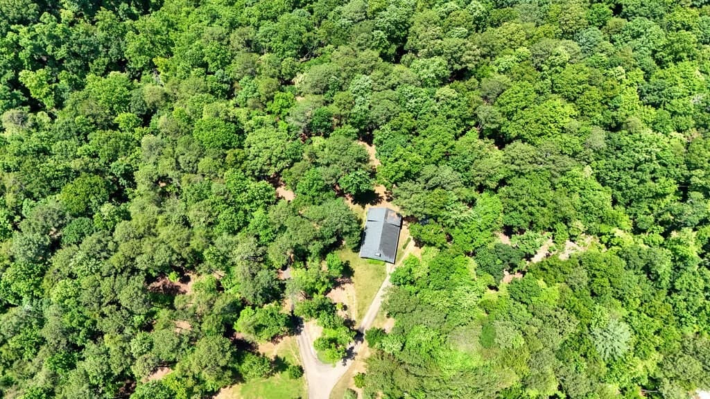 331 Blackberry Trail, Ball Ground GA 30107 - Photo