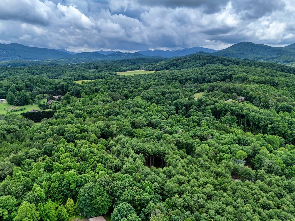 124 Lakeside Estates Drive, Hayesville NC 28904 - Photo