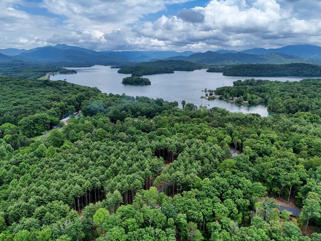 124 Lakeside Estates Drive, Hayesville NC 28904 - Photo