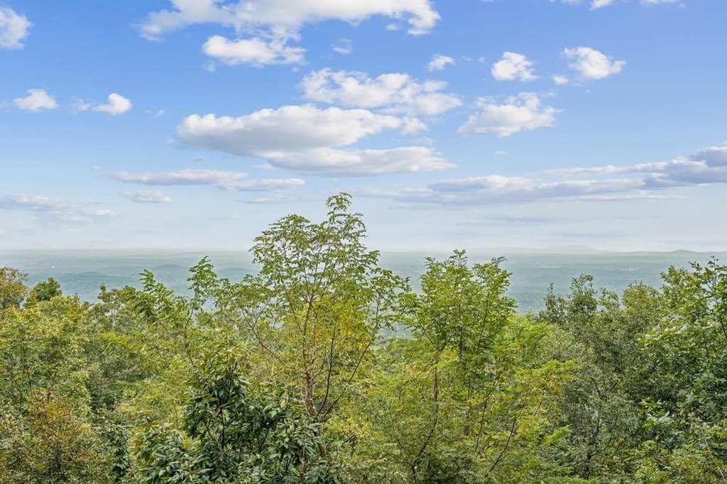1455 Ridgeview Drive, Big Canoe GA 30143 - Photo