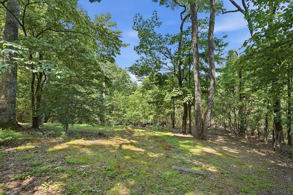 150 Summit Drive, Big Canoe GA 30143 - Photo