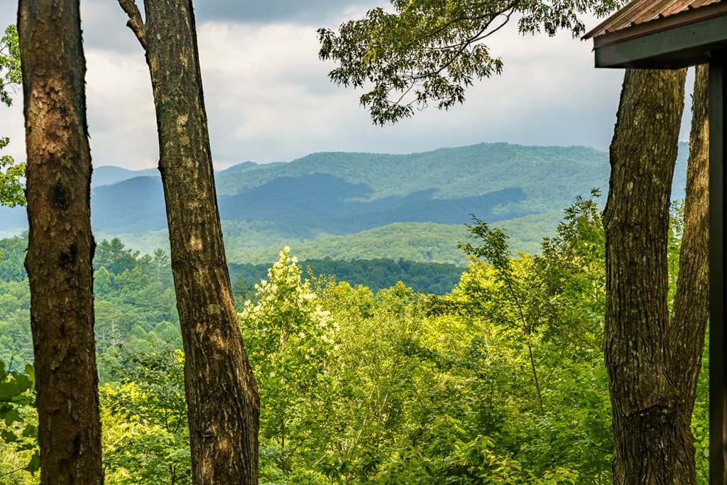 600 Cohutta Mountain Road, Blue Ridge GA 30513 - Photo