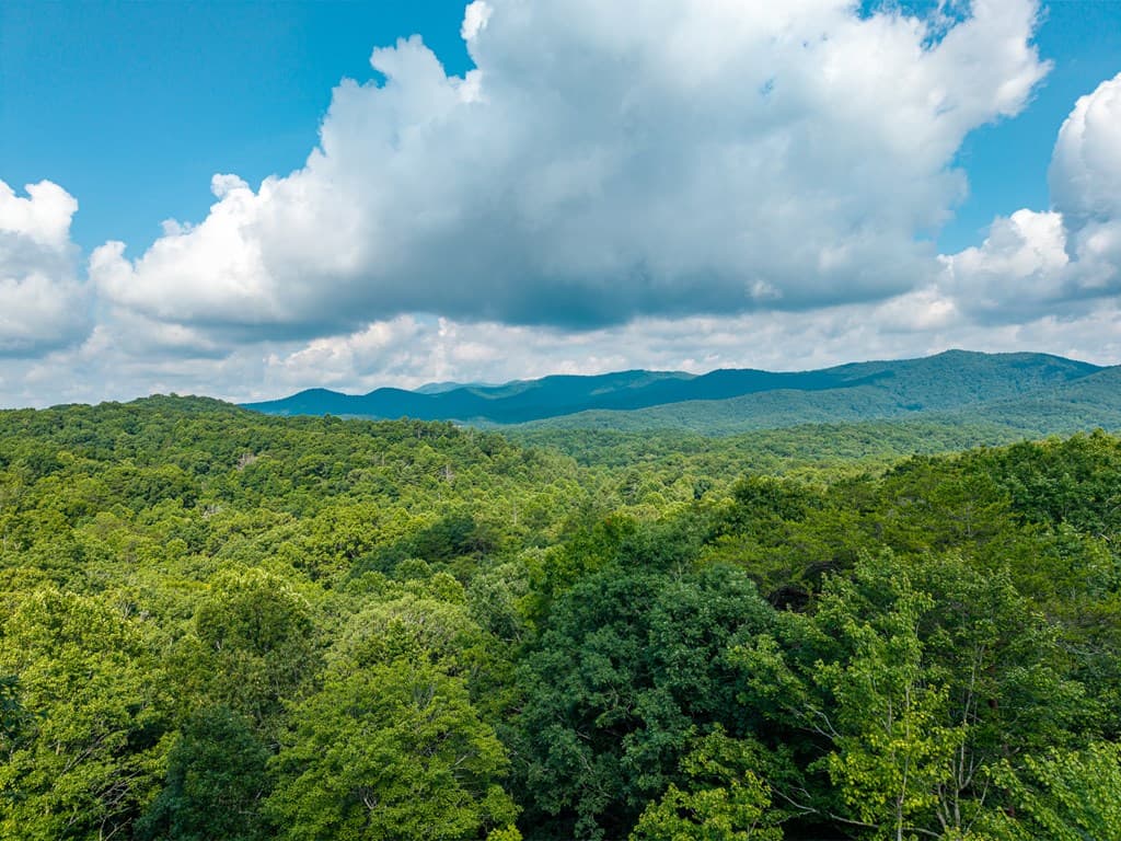 600 Cohutta Mountain Road, Blue Ridge GA 30513 - Photo